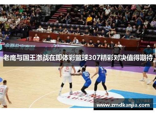老鹰与国王激战在即体彩篮球307精彩对决值得期待