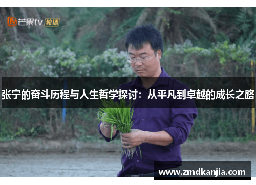 张宁的奋斗历程与人生哲学探讨：从平凡到卓越的成长之路