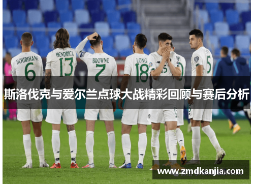 斯洛伐克与爱尔兰点球大战精彩回顾与赛后分析